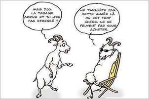 Fête de la Tabaski : ça arrive