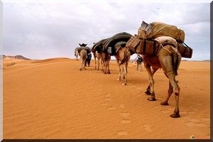 D’un Système beïdane à une Histoire beïdane : Des choix injustes, qui divisent et qui fâchent