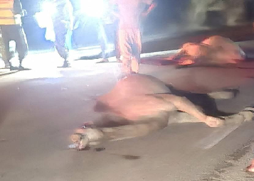 Un décès et des blessés dans un accident de la route survenu à Tintane dans la région du Hodh El Gharbi