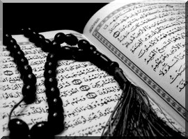 Découverte d'une des 