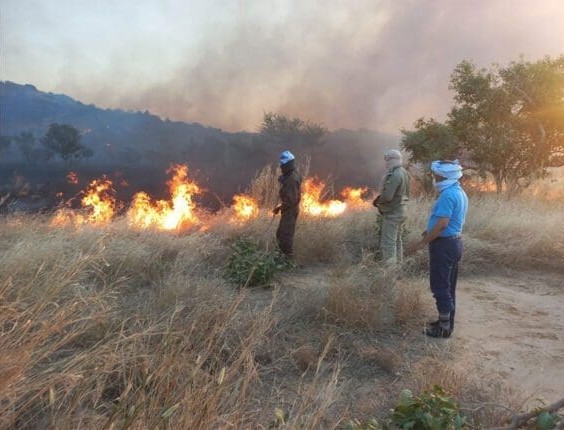 Les incendies de feux de brousse au Brakna maitrisés après 3 jours d’efforts 