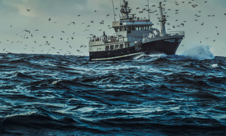 Algérie–Mauritanie : vers un protocole d’accord pour l’accès de navires de pêche algériens