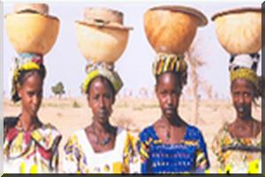 'Espace Culturel Diadié Tabara Camara' : Journée Culturelle, Vendredi 16 mai de 16h à 20h